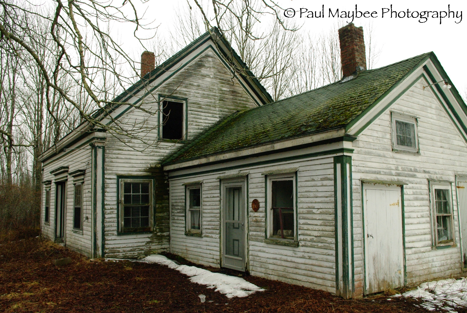 Abandoned Paul Maybee